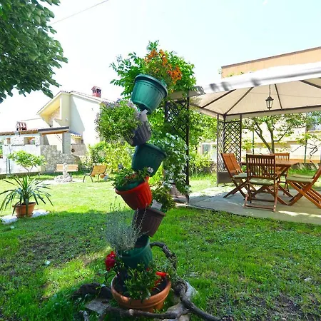 Apartamento Pineta 1817
